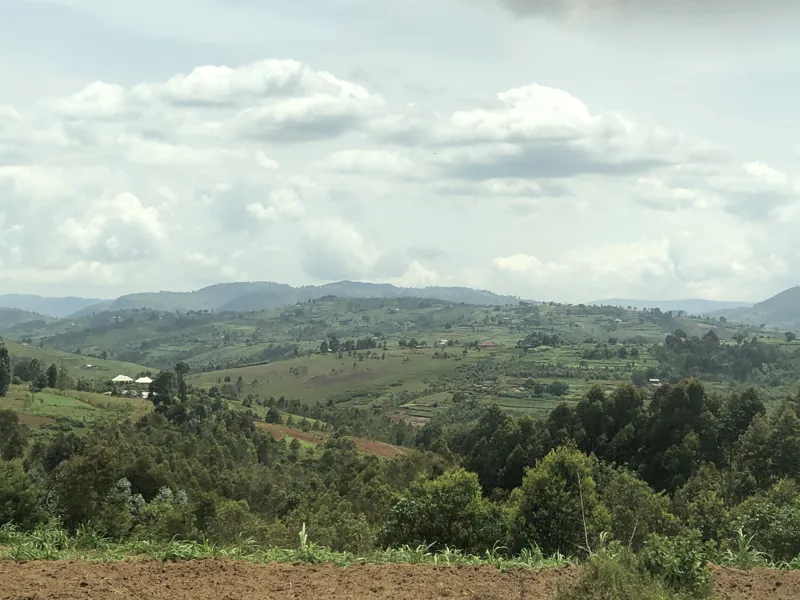 Green hills in Rutana, Burundi